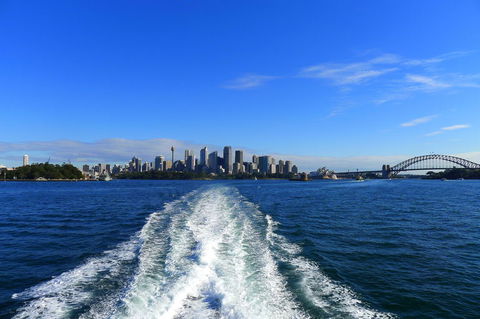 Sydney Whale-Watching Cruise - Darwin Holiday 4