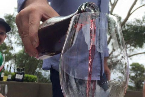 Hunter Valley Wine Tour From Sydney Incl Lunch, Cheese, Chocolate And Distillery - Darwin Holiday 1