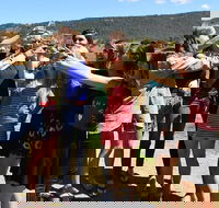 Hunter Valley Wine Tour from Sydney incl Lunch Cheese Chocolate and Distillery - Darwin Holiday