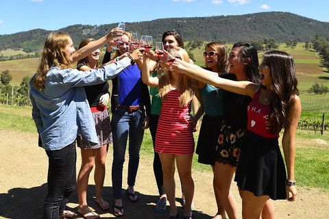 Hunter Valley Wine Tour From Sydney Incl Lunch, Cheese, Chocolate And Distillery - Darwin Holiday 22