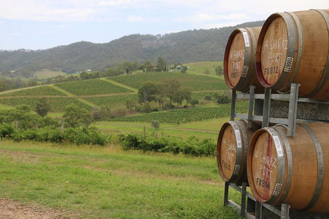 Hunter Valley Wine Tour From Sydney Incl Lunch, Cheese, Chocolate And Distillery - Darwin Holiday 26