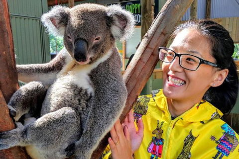 Wildlife Waterfalls And Wine Day Tour From Sydney - Darwin Holiday 0