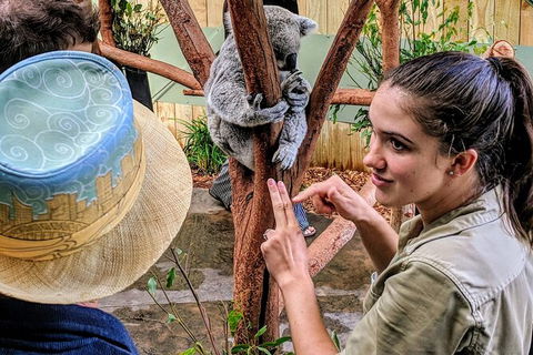 Wildlife Waterfalls And Wine Day Tour From Sydney - Darwin Holiday 7