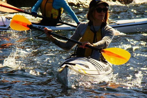 Self-Guided Sydney Middle Harbour Kayak 3 Hour Tour By Single Kayak - Darwin Holiday 8