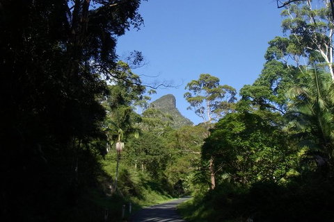 Mount Warning Day Trip From Byron Bay Including BBQ Lunch - Darwin Holiday 6