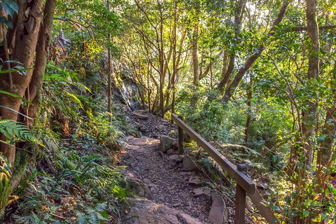 Mount Warning Day Trip From Byron Bay Including BBQ Lunch - Darwin Holiday 9