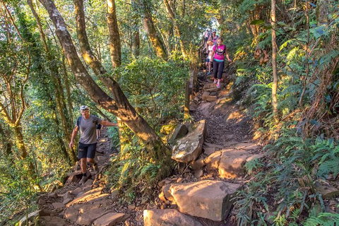 Mount Warning Day Trip From Byron Bay Including BBQ Lunch - Darwin Holiday 11