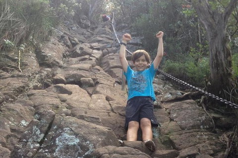 Mount Warning Day Trip From Byron Bay Including BBQ Lunch - Darwin Holiday 8