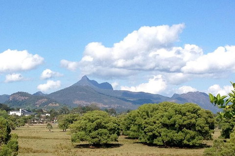 Mount Warning Day Trip From Byron Bay Including BBQ Lunch - Darwin Holiday 7