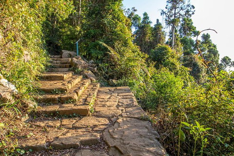 Mount Warning Day Trip From Byron Bay Including BBQ Lunch - Darwin Holiday 10