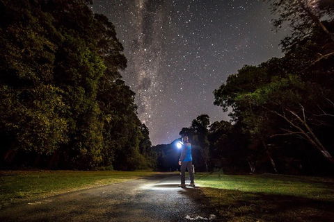 Byron Bay Surfing Lesson And Mount Warning Sunrise Climb Including Overnight Camping And BBQ Dinner - Darwin Holiday 0