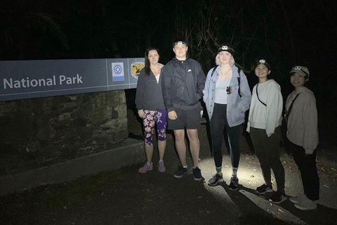 Byron Bay Surfing Lesson And Mount Warning Sunrise Climb Including Overnight Camping And BBQ Dinner - Darwin Holiday 13