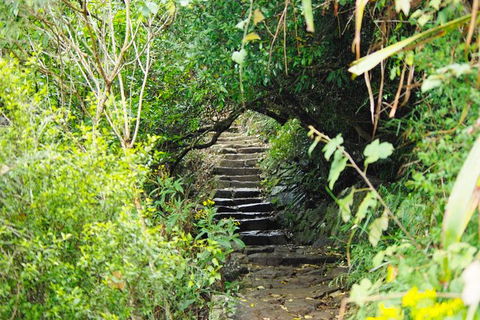 Byron Bay Surfing Lesson And Mount Warning Sunrise Climb Including Overnight Camping And BBQ Dinner - Darwin Holiday 17