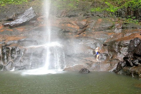 Byron Bay Combo: Hinterland Tour Including Minyon Falls And Kayaking With Dolphins - Darwin Holiday 15