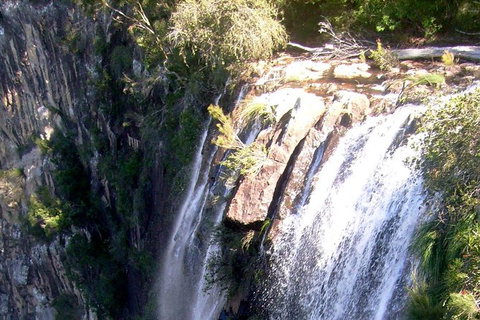 Byron Bay Combo: Hinterland Tour Including Minyon Falls And Kayaking With Dolphins - Darwin Holiday 20