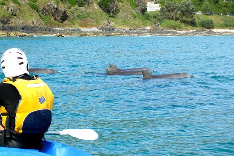 Byron Bay Combo: Hinterland Tour Including Minyon Falls And Kayaking With Dolphins - Darwin Holiday 12
