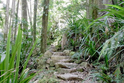 Byron Bay Combo: Hinterland Tour Including Minyon Falls And Kayaking With Dolphins - Darwin Holiday 4