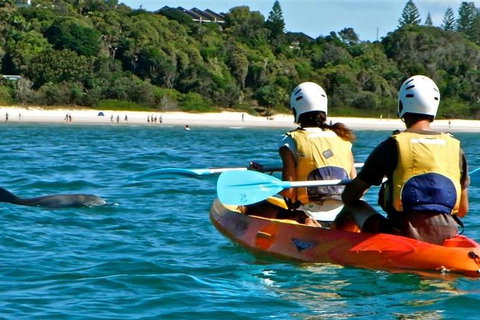 Byron Bay Combo: Hinterland Tour Including Minyon Falls And Kayaking With Dolphins - Darwin Holiday 16