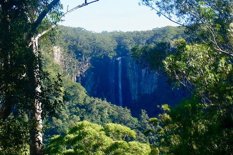 Byron Bay Combo: Hinterland Tour Including Minyon Falls And Kayaking With Dolphins - Darwin Holiday 5