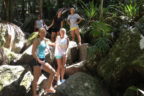 Byron Bay Combo: Hinterland Tour Including Minyon Falls And Kayaking With Dolphins - Darwin Holiday 7