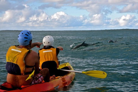 Byron Bay Combo: Hinterland Tour Including Minyon Falls And Kayaking With Dolphins - Darwin Holiday 18