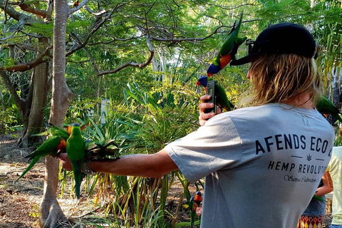 Stray Australia: Byron Bay To Cairns - Freestyle Tour - Darwin Holiday 1