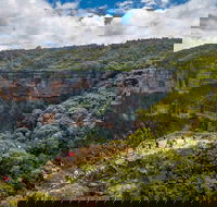 Stray Australia Blue Mountains - Day Tour - Darwin Holiday