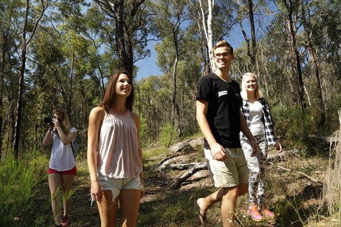 Stray Australia: Blue Mountains - Day Tour - Darwin Holiday 1