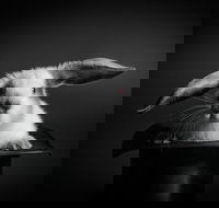 Skip the Line Australian Museum Of Magical Arts General Admission  Tour Ticket - Darwin Holiday