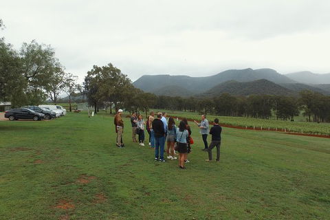 Hunter Valley Private Tour Including Wine, Chocolate, Cheese, Vodka, Gin Tasting - Darwin Holiday 10