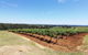 Hunter Valley Private Tour Including Wine, Chocolate, Cheese, Vodka, Gin Tasting - thumb 16