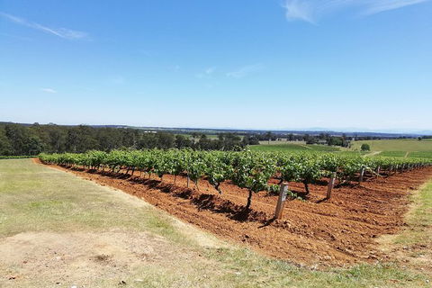 Hunter Valley Private Tour Including Wine, Chocolate, Cheese, Vodka, Gin Tasting - Darwin Holiday 16