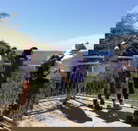 Blue Mountains Private Tour with Kangaroos  Koala Encounter - Darwin Holiday