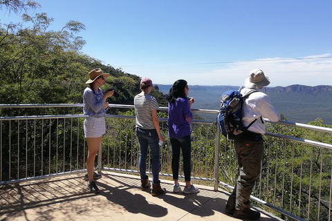 Blue Mountains Private Tour With Kangaroos & Koala Encounter - Darwin Holiday 0