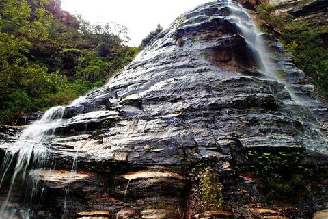 Blue Mountains Private Tour With Kangaroos & Koala Encounter - Darwin Holiday 1