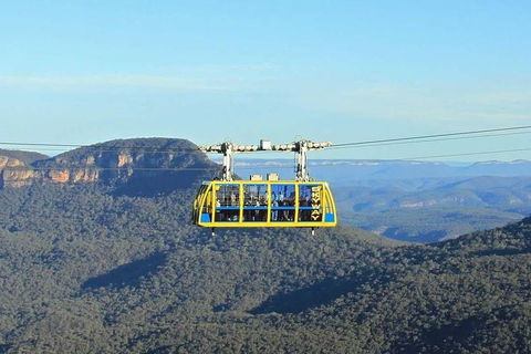 Blue Mountains Private Tour With Kangaroos & Koala Encounter - Darwin Holiday 4