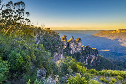 Blue Mountains Private Tour With Kangaroos & Koala Encounter - Darwin Holiday 2