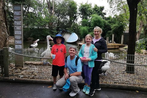 Blue Mountains Private Tour With Kangaroos & Koala Encounter - Darwin Holiday 10