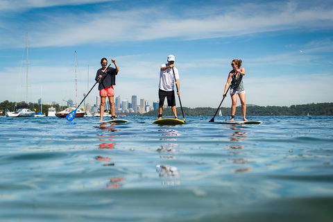 Stand Up Paddle On Sydney Harbour From Watsons Bay - Darwin Holiday 0