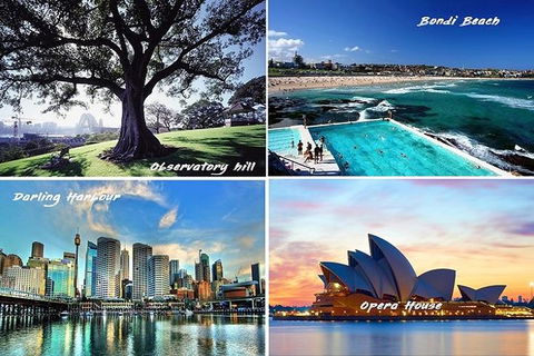 8 Hours Sydney Tour - Darwin Holiday 1
