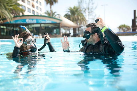 Try Scuba Diving Experience: Sydney - Darwin Holiday 0