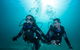 Try Scuba Diving Experience: Sydney - thumb 3