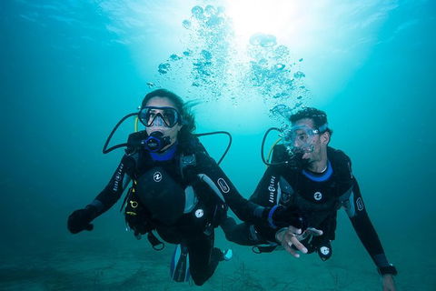 Try Scuba Diving Experience: Sydney - Darwin Holiday 3