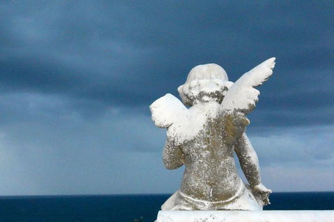 Private Tour: Half-Day Iconic Sydney - Darwin Holiday 12