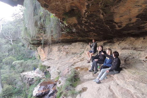 Inside The Greater Blue Mountains World Heritage - A Private Wildlife Safari Overnight - Darwin Holiday 20