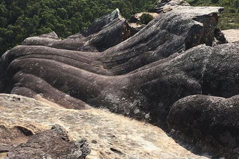 Inside The Greater Blue Mountains World Heritage - A Private Wildlife Safari Overnight - Darwin Holiday 28