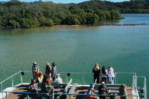 Brunswick Heads Rainforest Eco-Cruise - Darwin Holiday 8