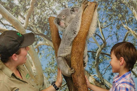 Small Group Blue Mountains Day Tour From Sydney - Darwin Holiday 4