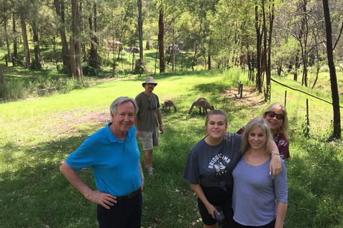 Small Group Blue Mountains Day Tour From Sydney - Darwin Holiday 9