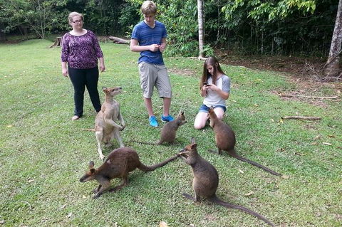 Small Group Blue Mountains Day Tour From Sydney - Darwin Holiday 3